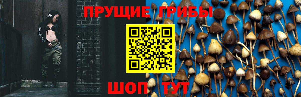 Псилоцибиновые грибы Magic Shrooms Чебаркуль